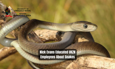 Nick Evans Educated UKZN Employees About Snakes